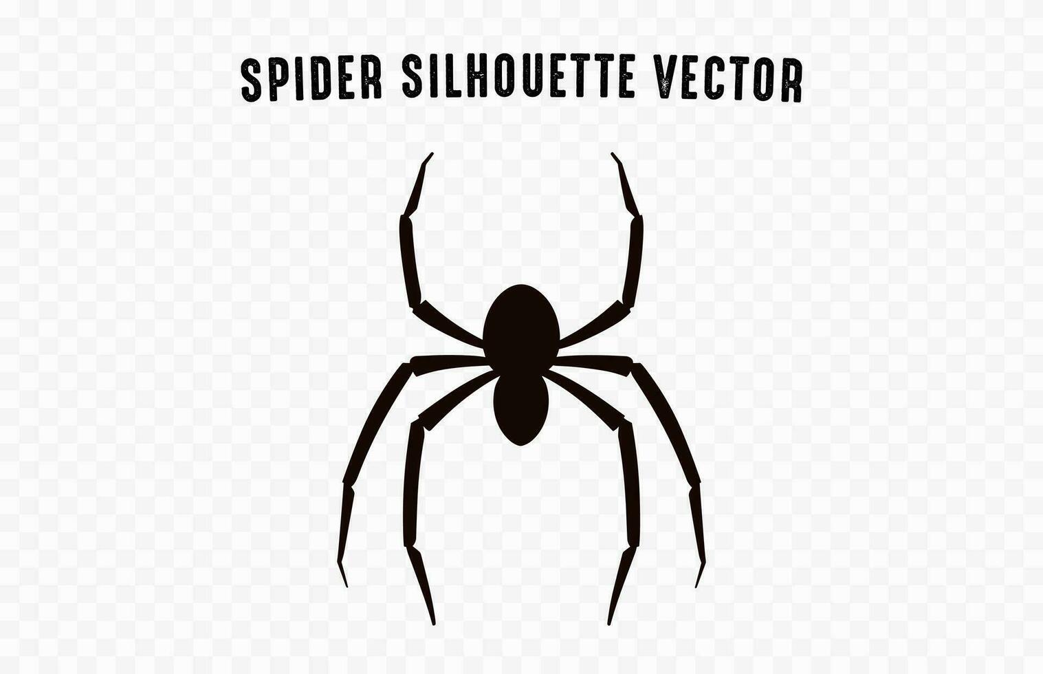 A Spider vector black silhouette isolated on a white background