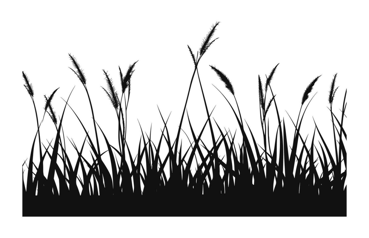 A Grass vector black Silhouette isolated on a white background
