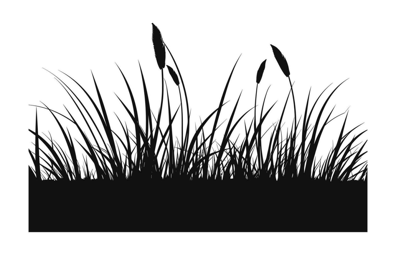 A Grass vector Silhouette isolated on a white background