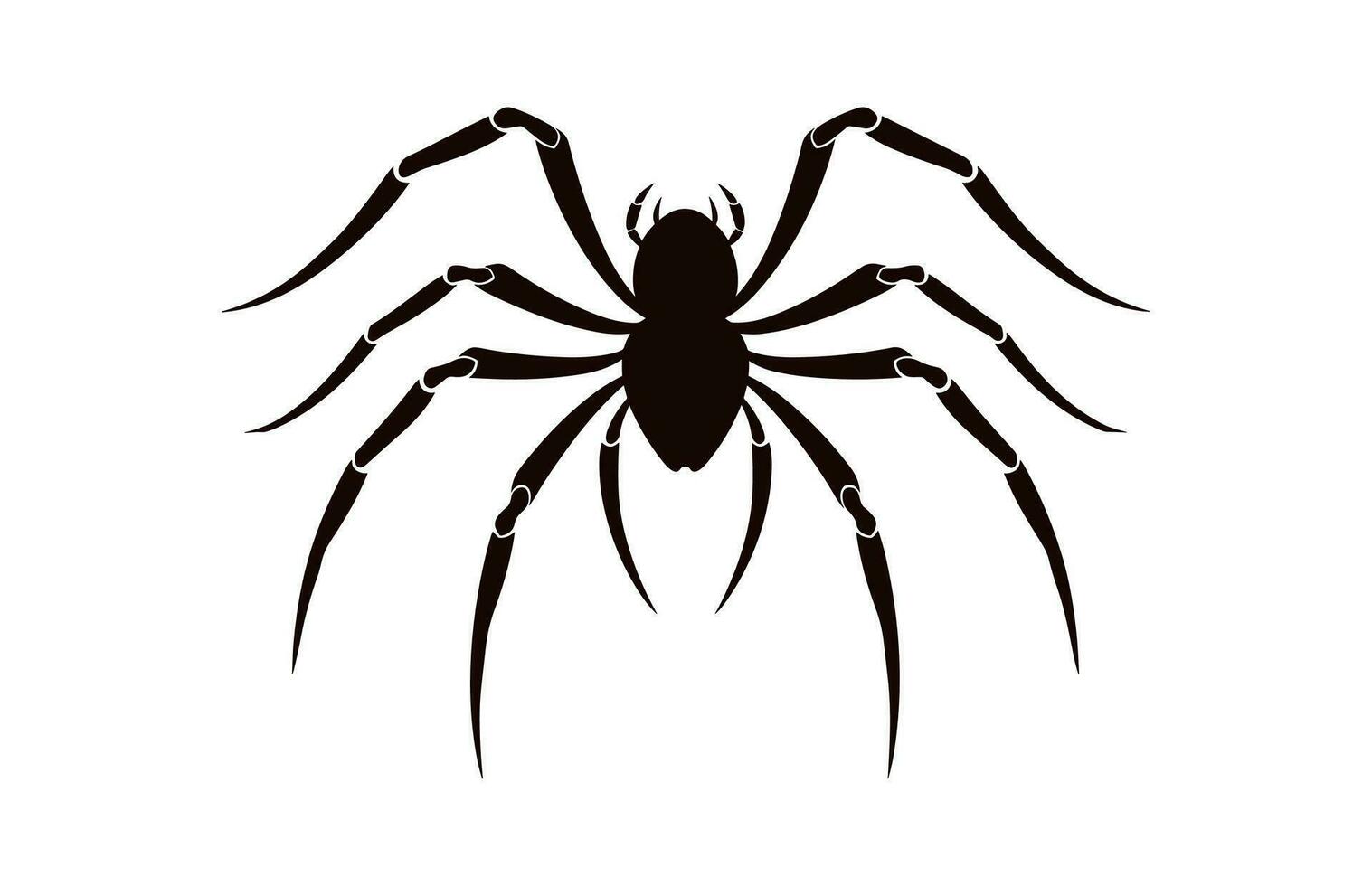 A Spider vector black silhouette isolated on a white background