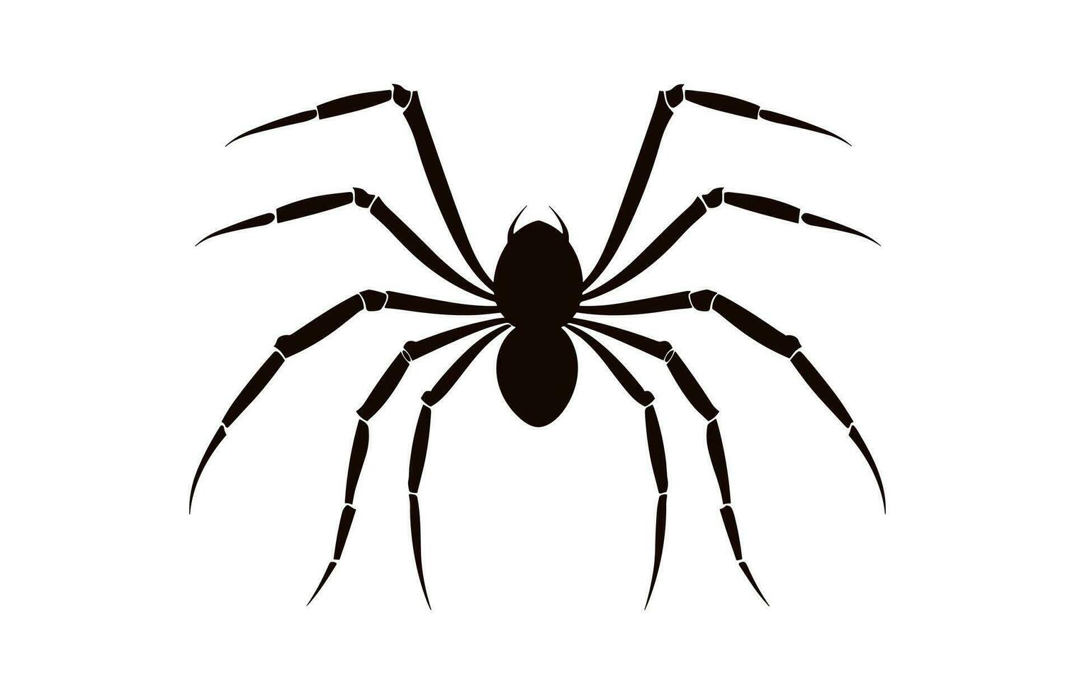 A Spider vector black silhouette isolated on a white background