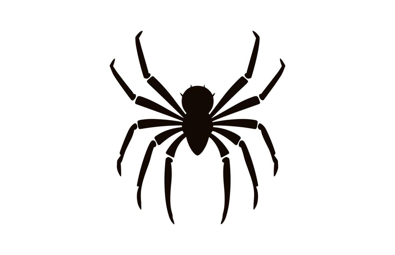 A Spider vector black silhouette isolated on a white background