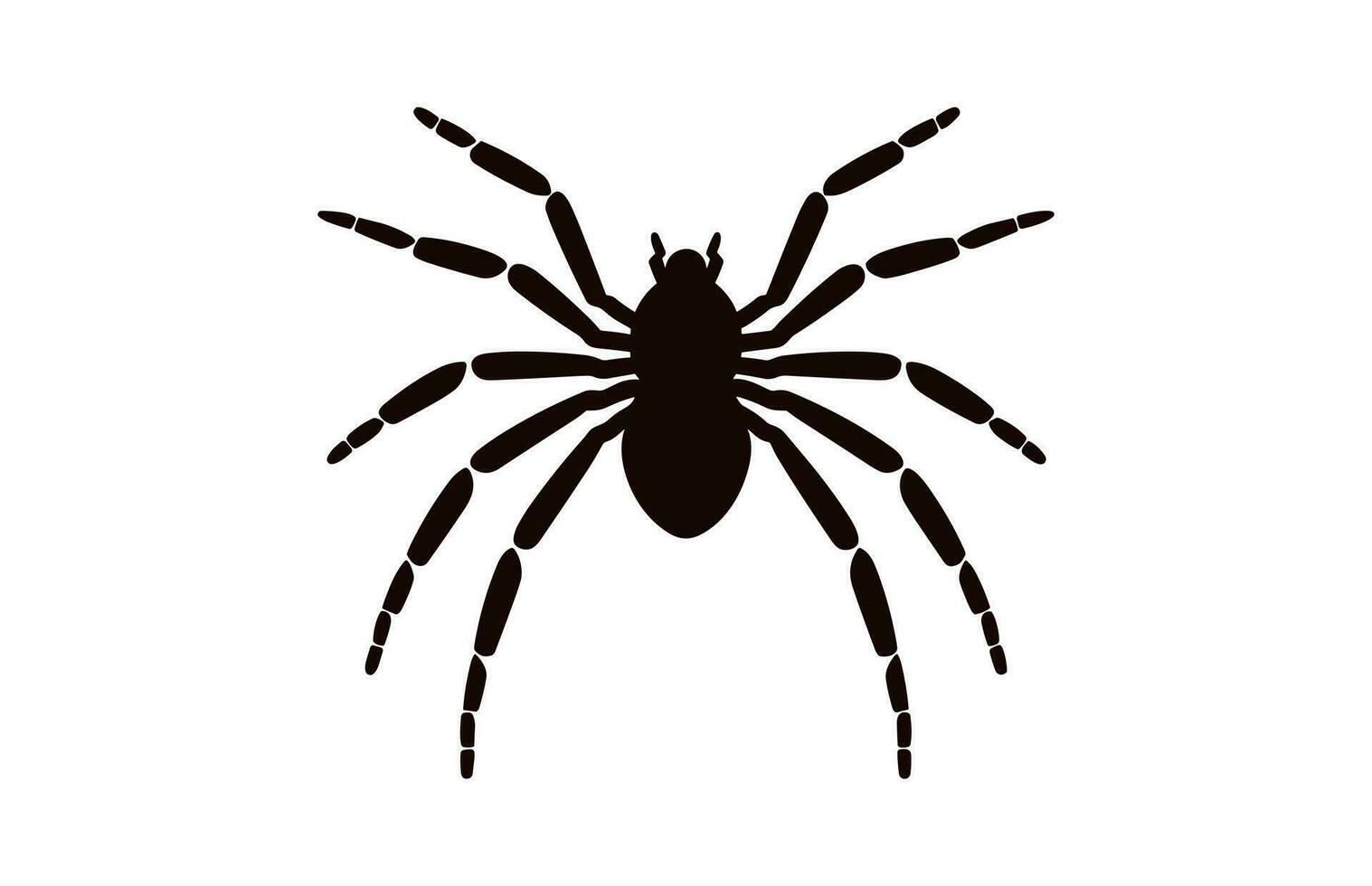 A Spider vector black silhouette isolated on a white background