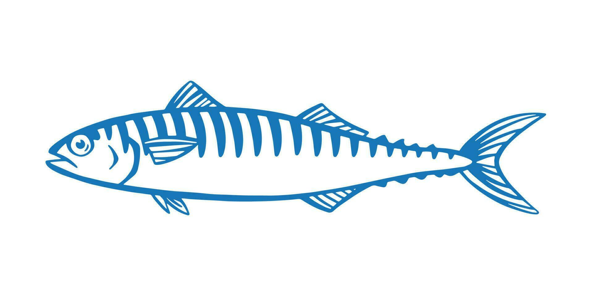 Hand Drawn Illustration of a Blue Mackerel  on yellow background vector