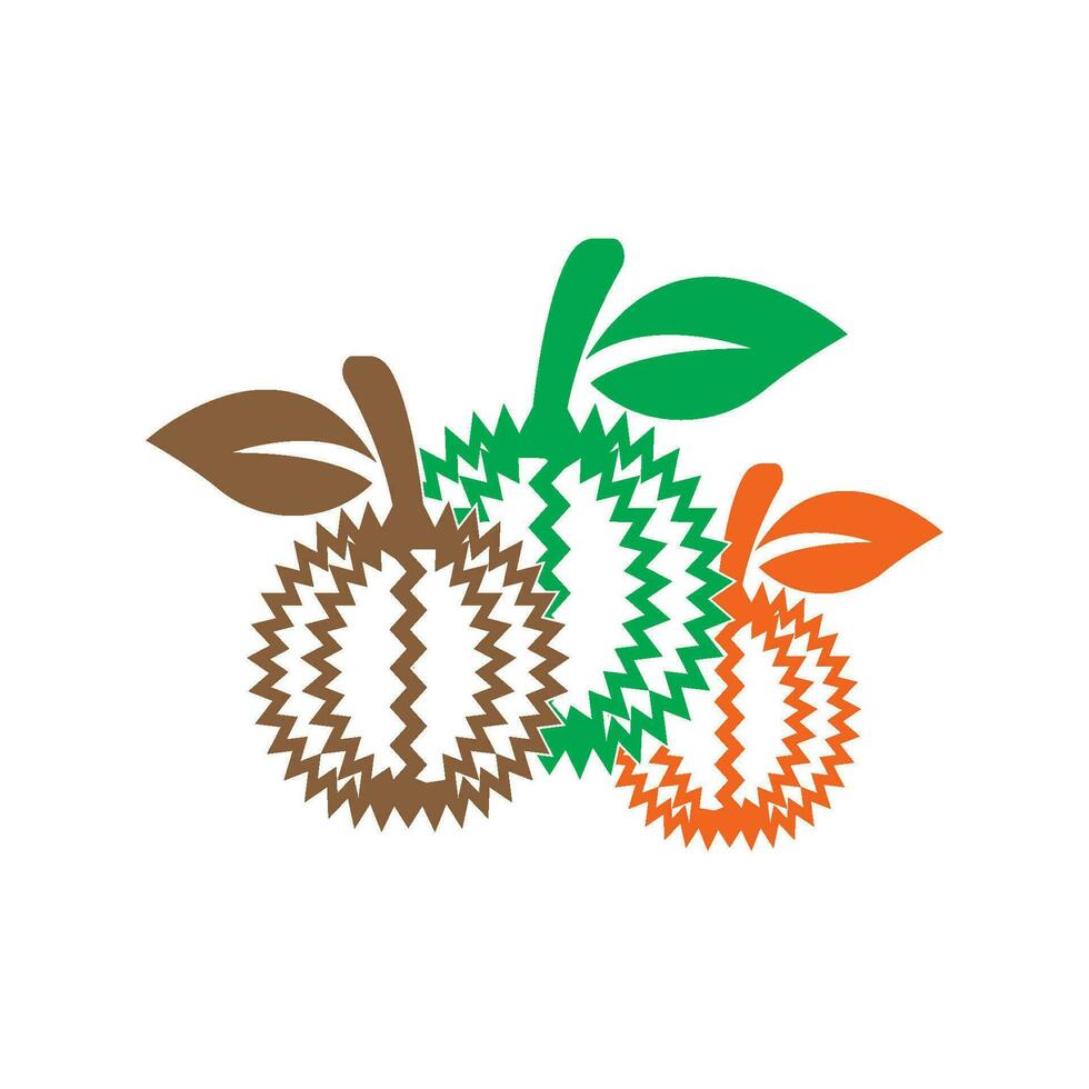 Durian logo icon, vector illustration design