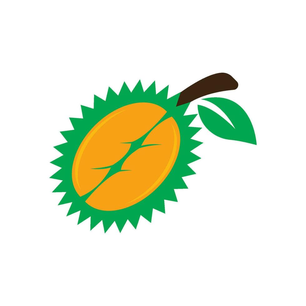 Durian logo icono, vector ilustración diseño