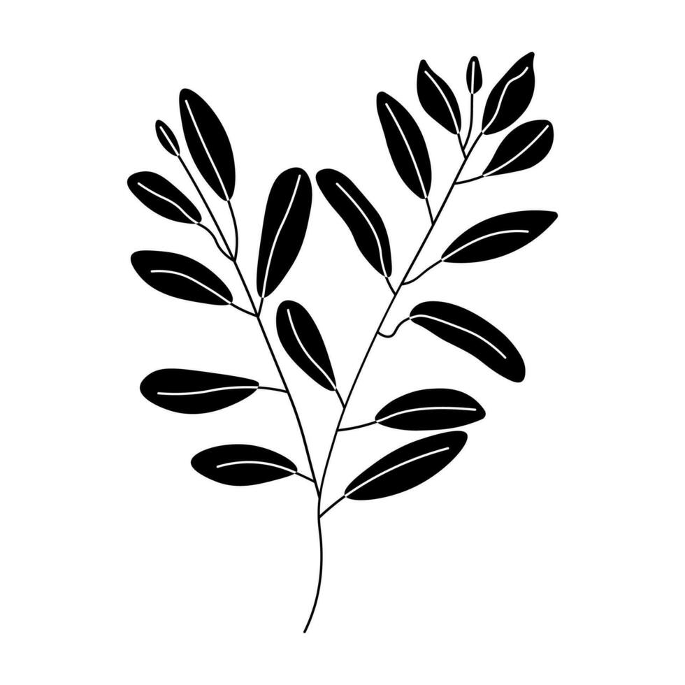 Eucalyptus black vector icon isolated on white background