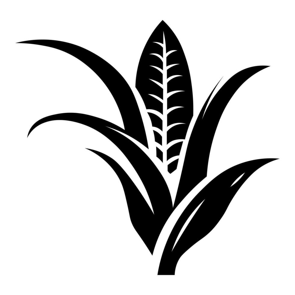 maíz negro vector icono aislado en blanco antecedentes