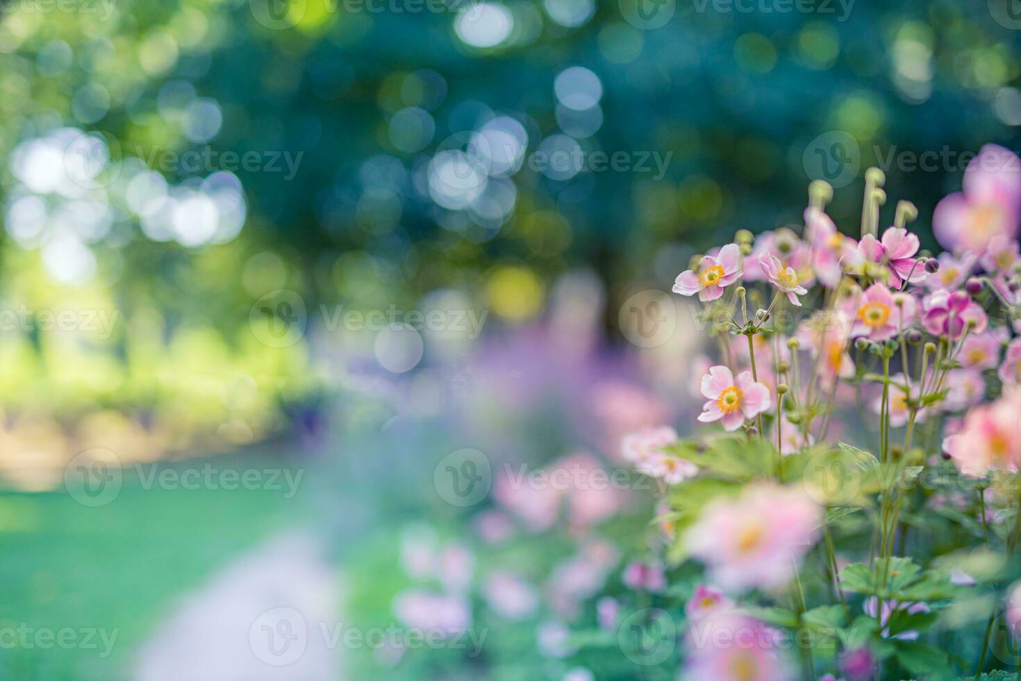 Spring forest landscape purple flowers primroses on a beautiful blurred background macro. Floral nature background, summer spring background. Tranquil nature close-up, romantic love flowers photo