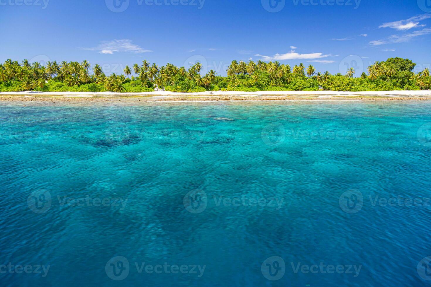 Beautiful tropical beach sea coast. White sand, palm trees, turquoise ocean and blue sky on sunny summer day. Serene landscape background for relaxing vacation. Maldives islands exotic travel paradise photo