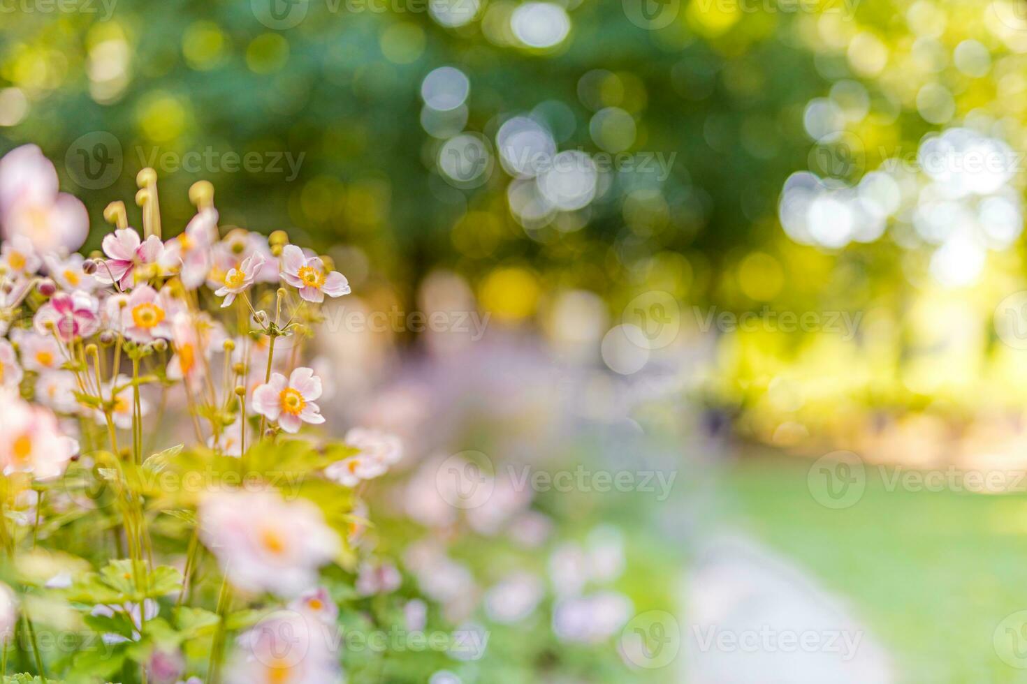 Spring forest landscape purple flowers primroses on a beautiful blurred background macro. Floral nature background, summer spring background. Tranquil nature close-up, romantic love flowers photo