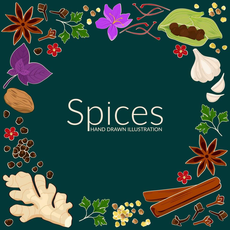 Frame with spices. Hand drawn illustration of different spices on dark background. Use to create menus, packaging, prints. vector