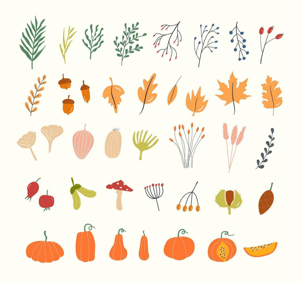 Set of autumn herbarium. Different branches and twigs with berries and leaves. Card with Wild forest plants. Vector collection of botanical design elements. Colored flat illustration.