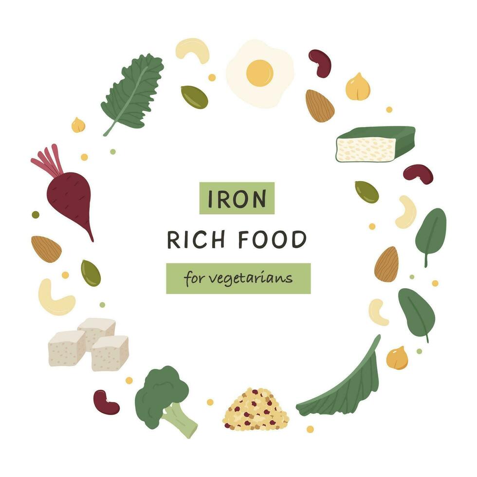 Collection of food containing Iron. Red meat, liver, sea food, egg, beans and nuts. Dietetic organic nutrition. Different healthy products information card. Iron rich food sources. vector