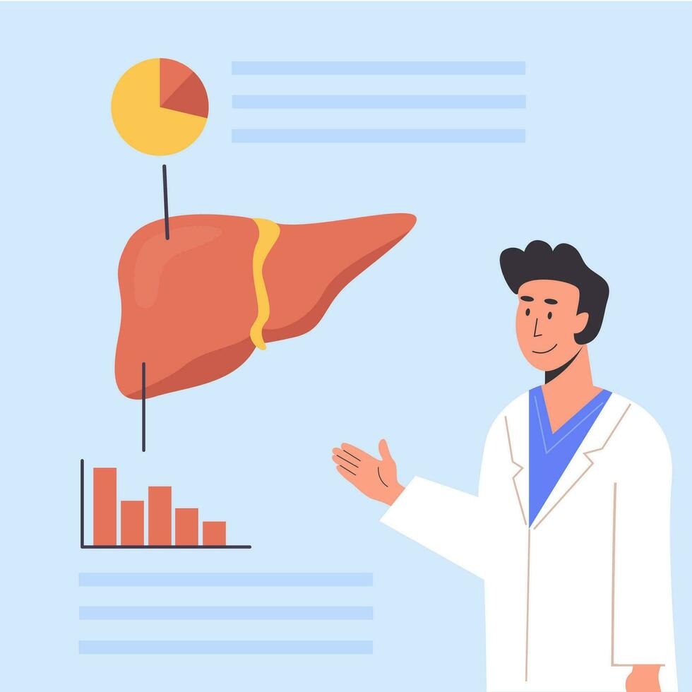 Concept of Consulting Doctor or Medical Scientist explaining human anatomy. Hospital Check Up. Liver Organ Diagnostics. Researcher studying liver. Hepatology. Flat Vector Illustration.