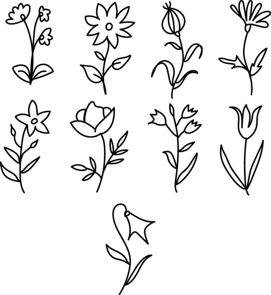 mano dibujado primavera, salvar el fecha, tarjeta, mínimo dibujado floral botánico línea Arte ramos de flores primavera, de moda elementos de salvaje y jardín plantas, sucursales, hojas, flores, hierbas. vector ilustración