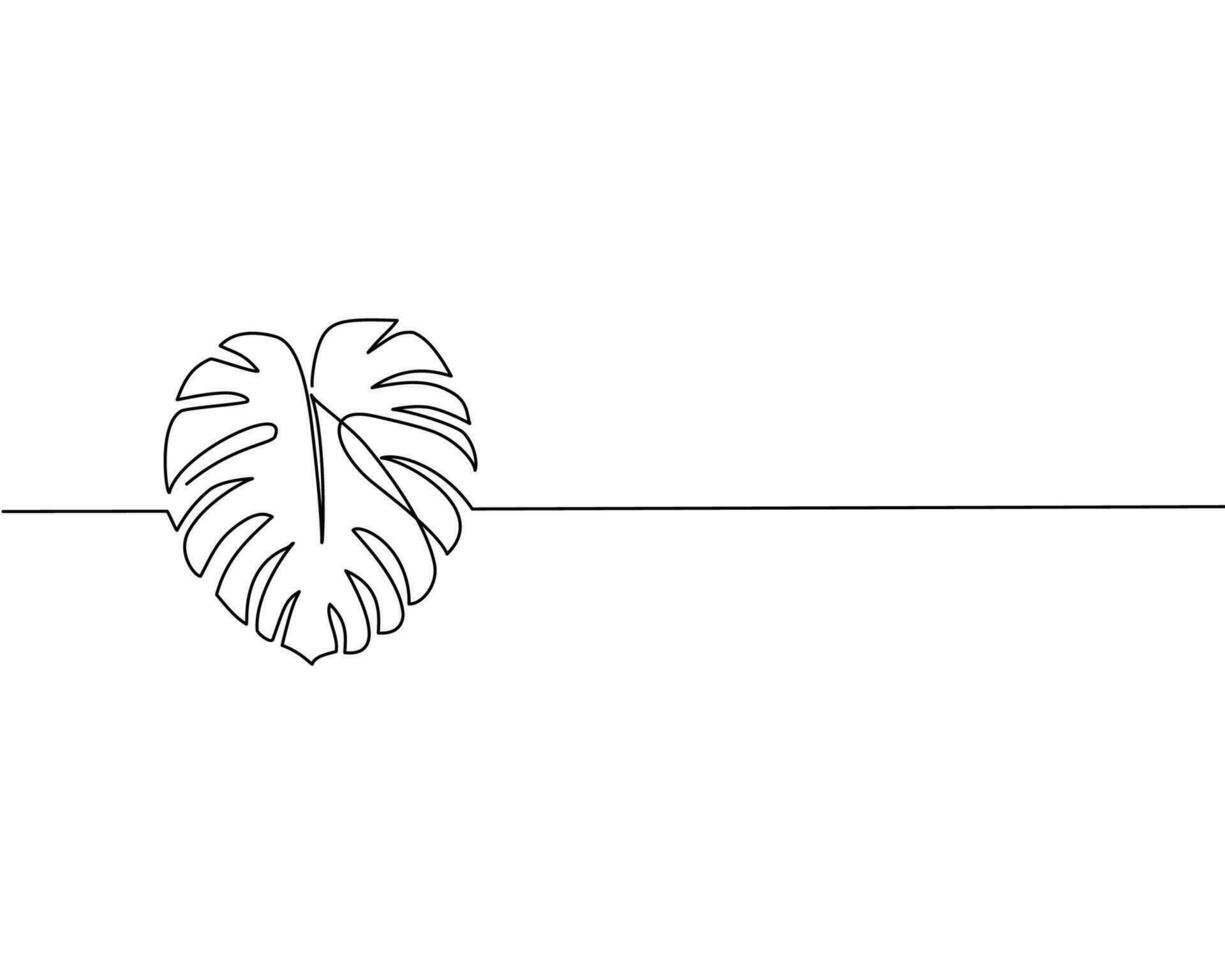 Monstera leaves drawn in line art style vector