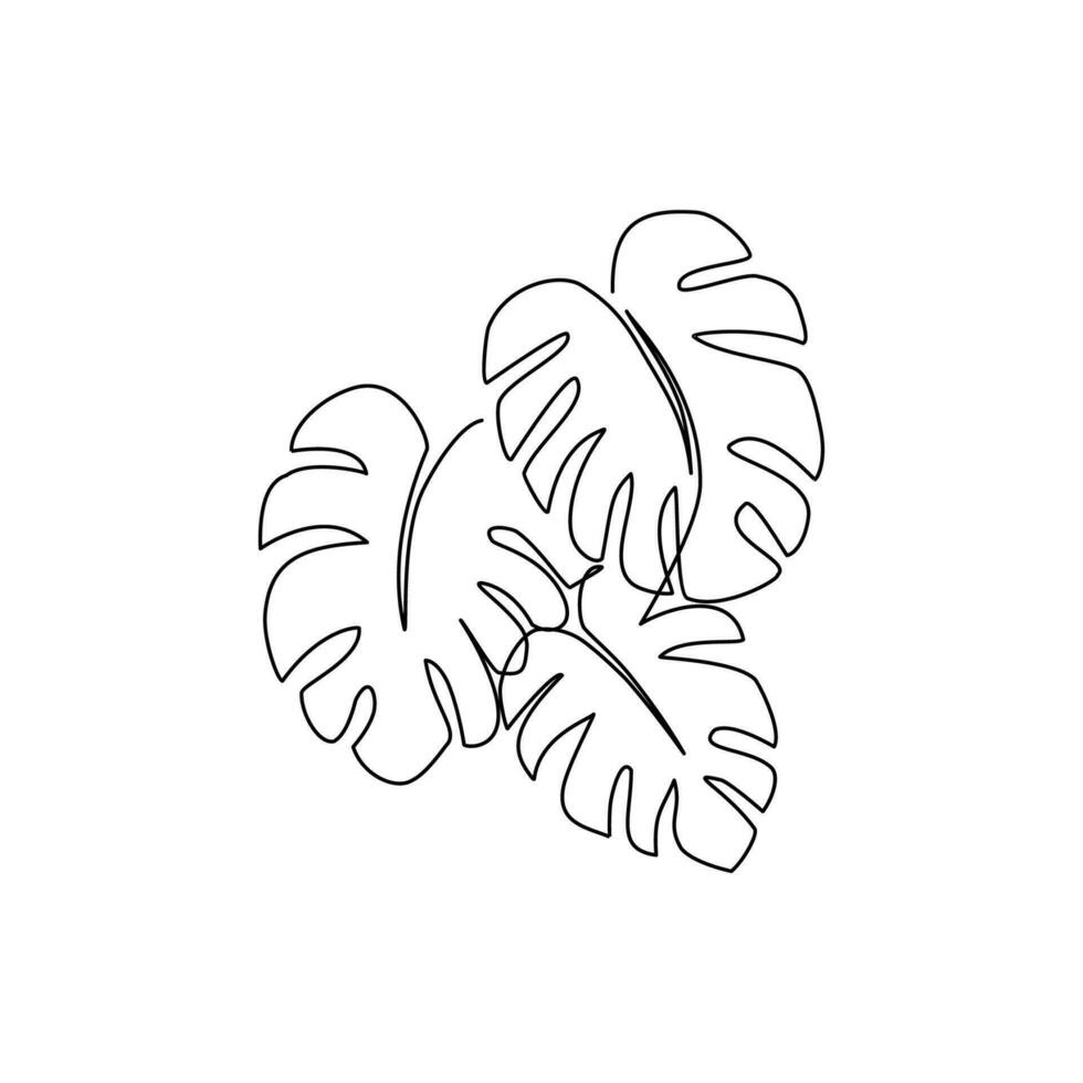 Monstera leaves drawn in line art style vector