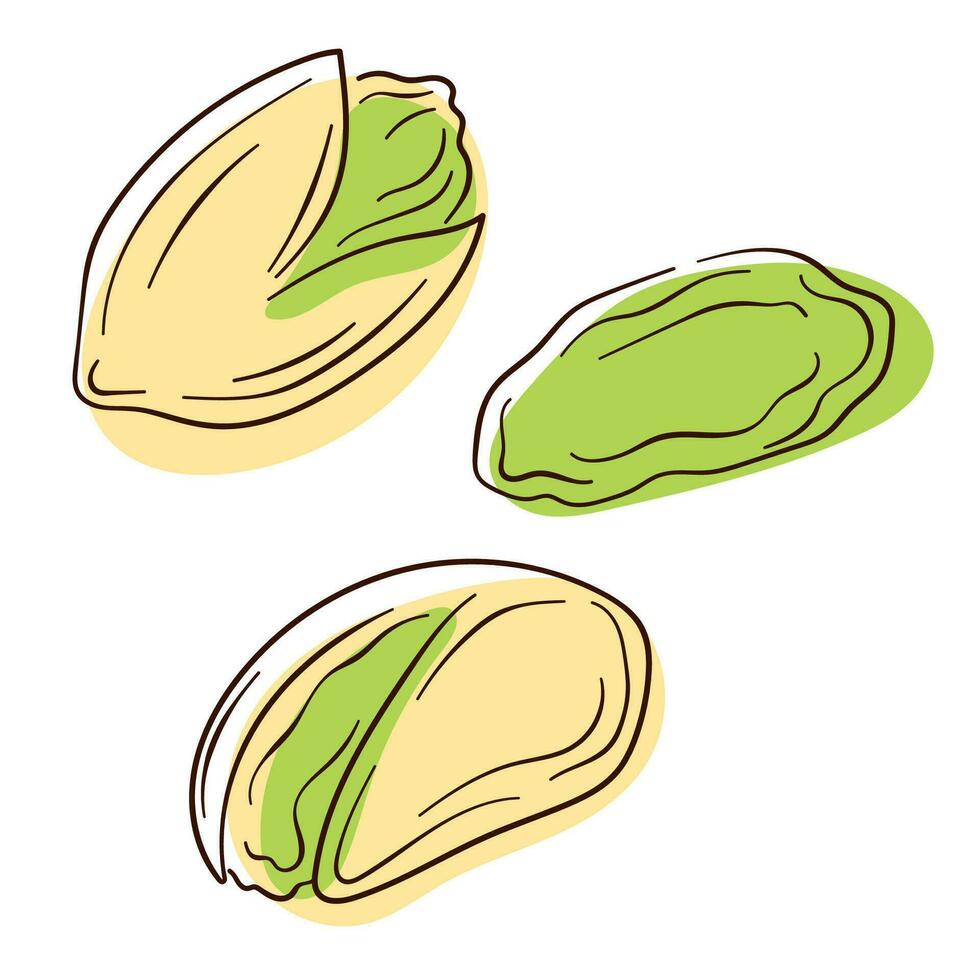 Pistachio icon in line and color art style. Flat nut design for menu, package and cafe. Vector illustration isolated on a white background.