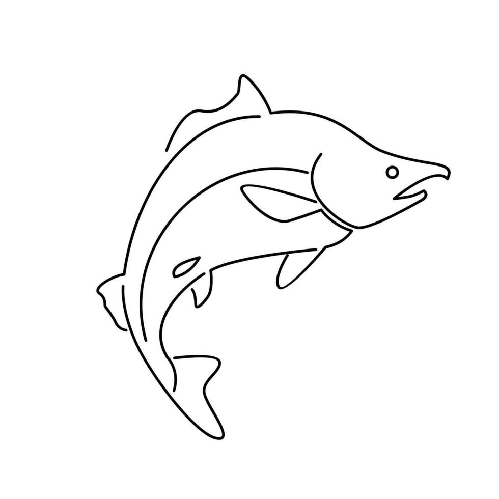 Salmon Fish outline illustration vector