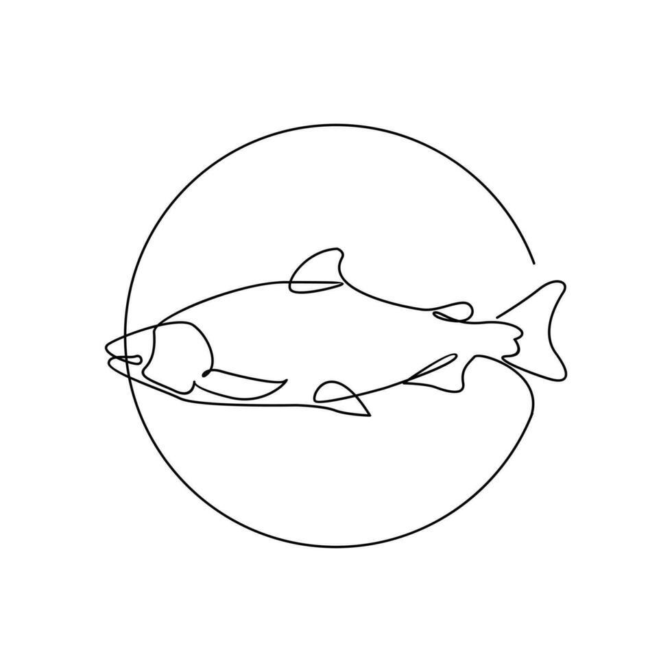 Salmon fish single line illustration vector