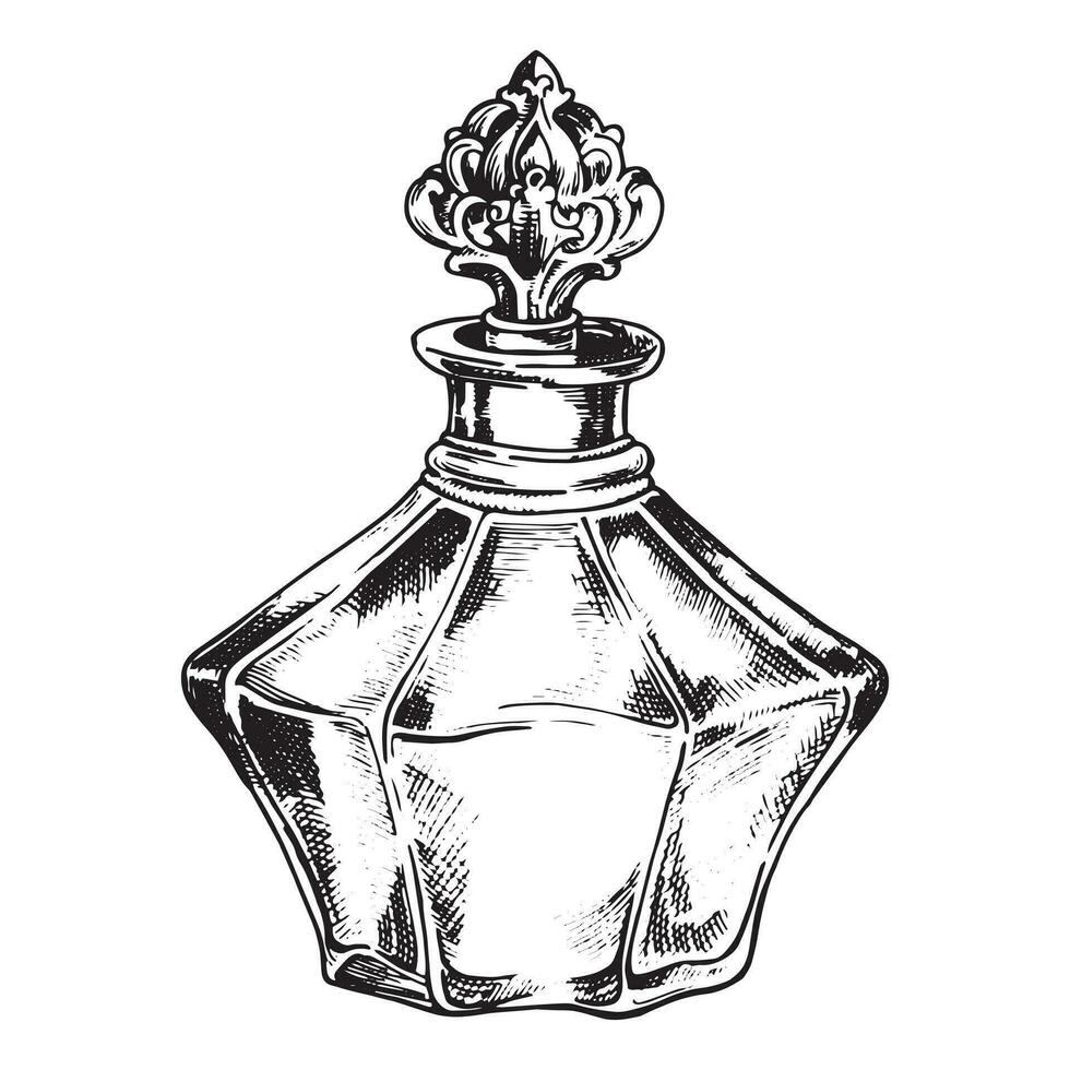 botellas con perfume, vector dibujo en bosquejo estilo. Clásico