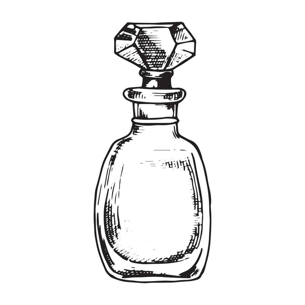 botellas con perfume, vector dibujo en bosquejo estilo. Clásico