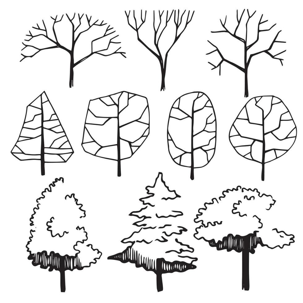 set of trees, hand drawing, frontal view. architectural ink drawing, vector. vector