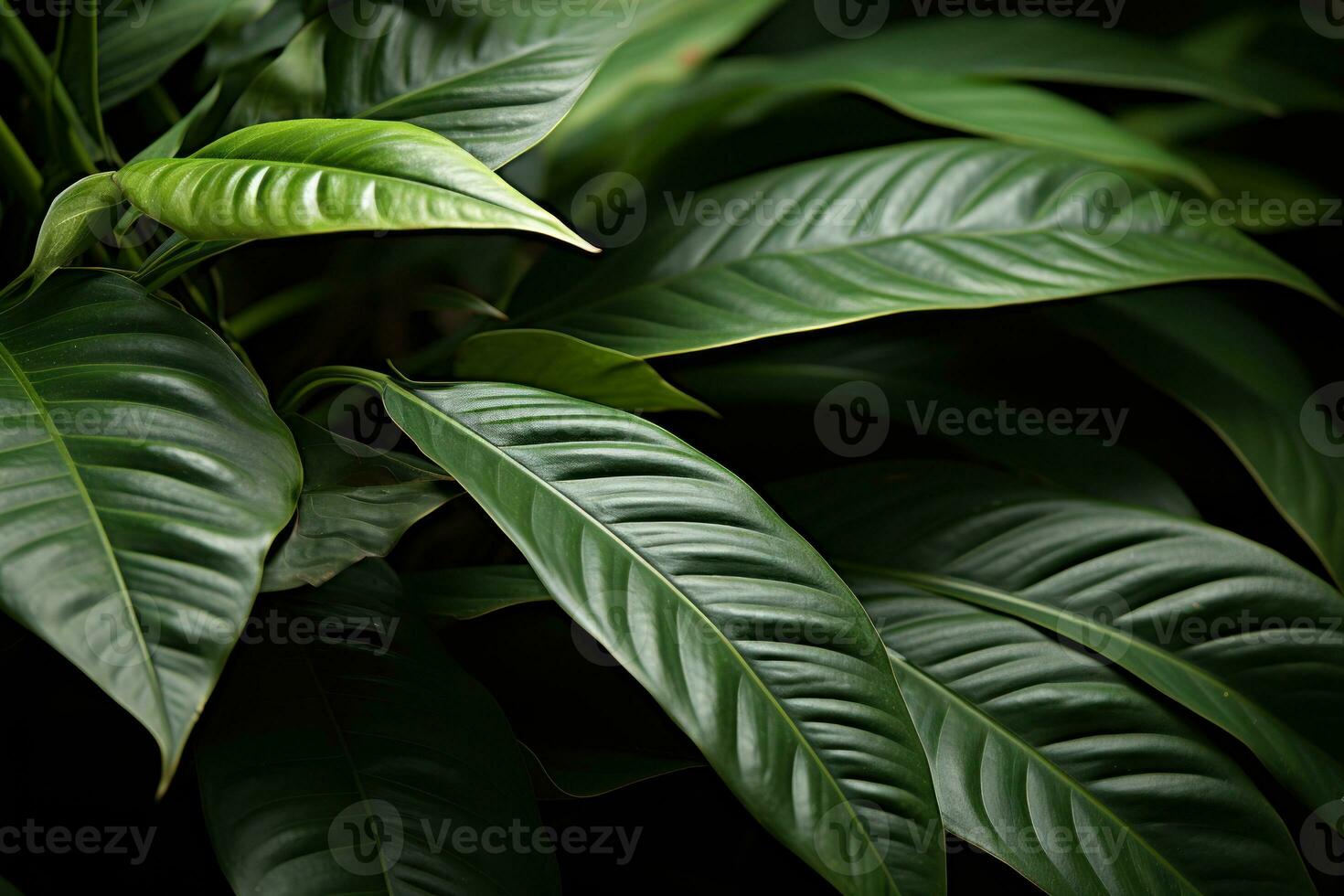 ai generado inspirador citas en hojas inspirar eco simpático elecciones, ambiental concepto foto