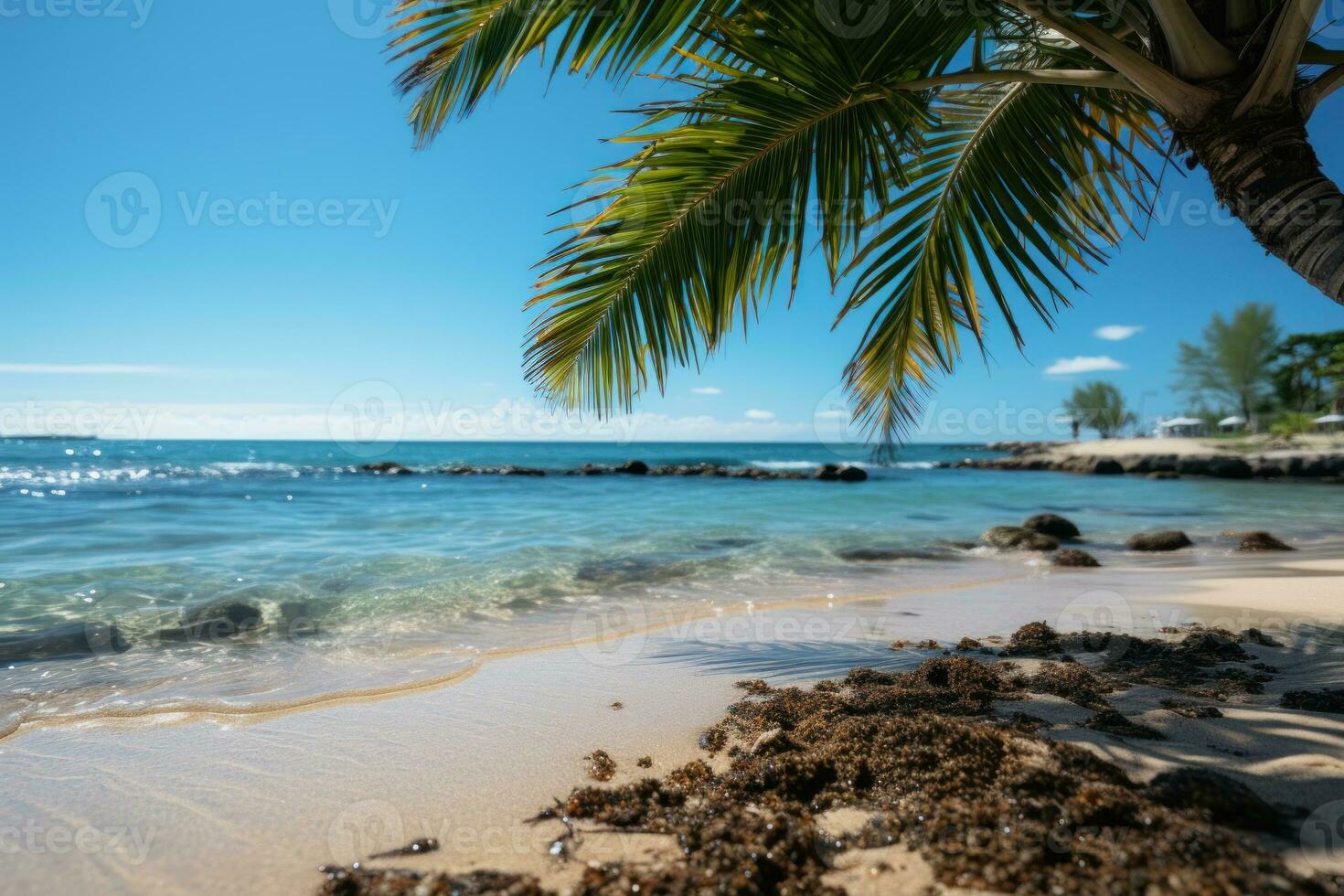 AI generated Sunny summer beach framed by majestic palm, relaxing summer scene photo