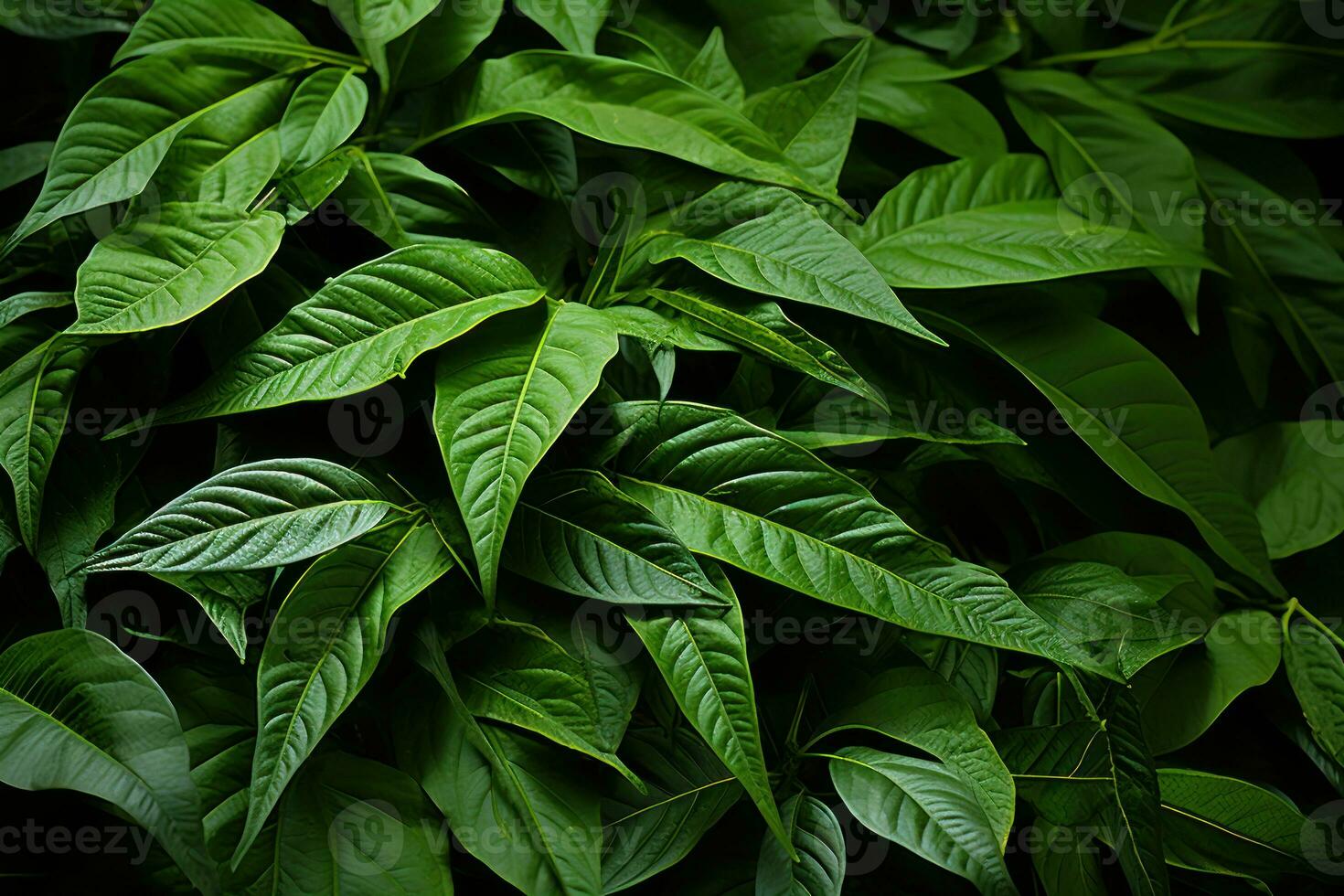 AI generated A pattern reflecting the balance of nature, environmental concept photo