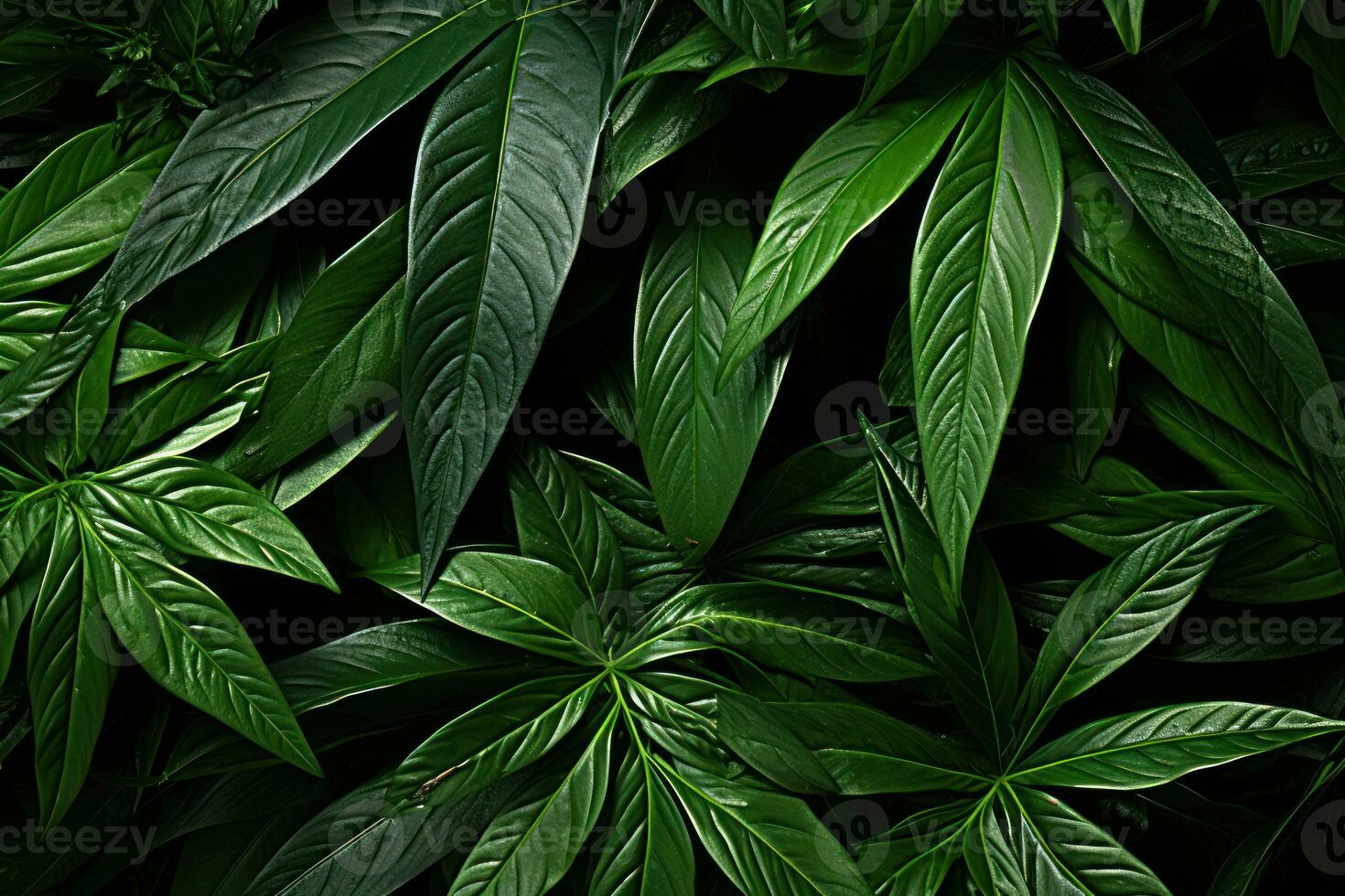 AI generated Green leaves cast captivating patterns on a textured background, nature conservation photos