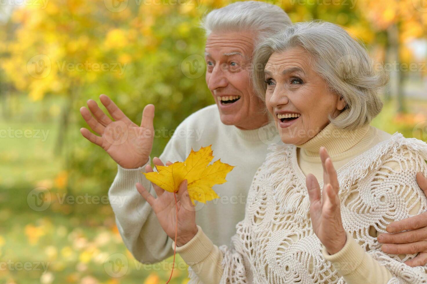 happy senior couple standing in autumn park photo