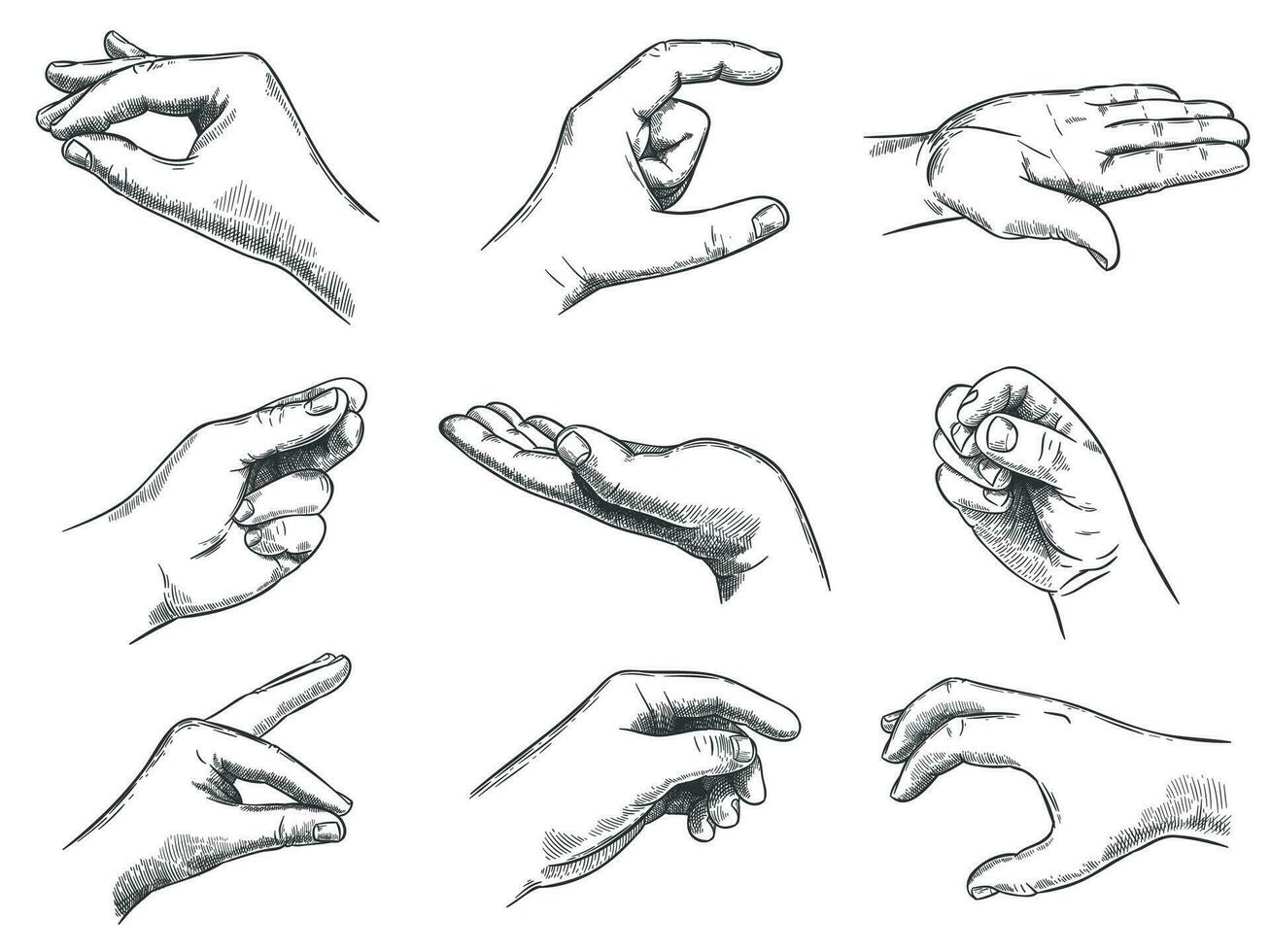 grabado participación mano gesto. mantener en manos, Clásico mano dibujado gestos y sostener en palma bosquejo vector ilustración colocar.