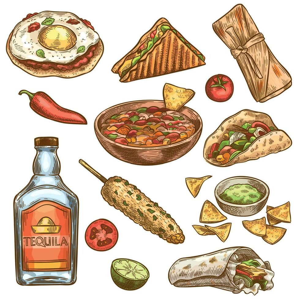 tradicional mexicano alimento. mexicano nacional burrito, tacos y nachos, enchilada y chile pimienta, tequila de colores bosquejo vector conjunto