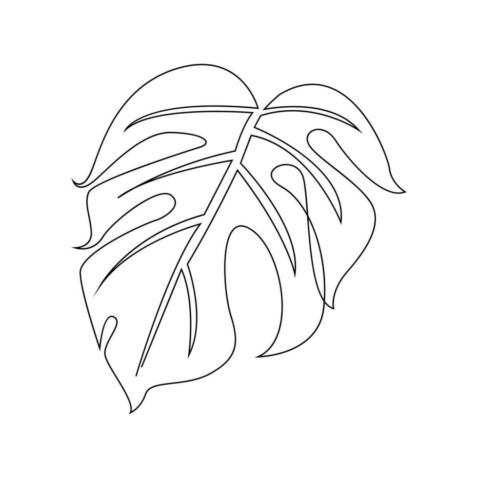 Monstera continuous Line illustration vector