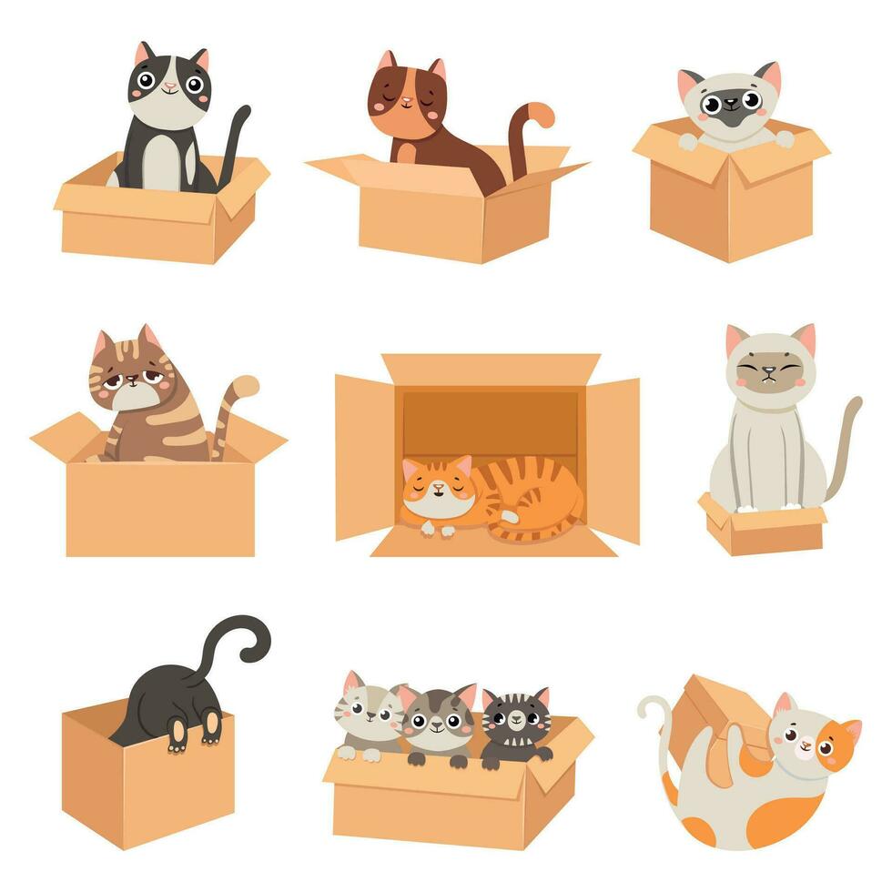 Cats in boxes. Cute stickers with cat sitting, sleeping and playing in cardboard box. Funny hiding kittens. Adopt homeless pet, vector set