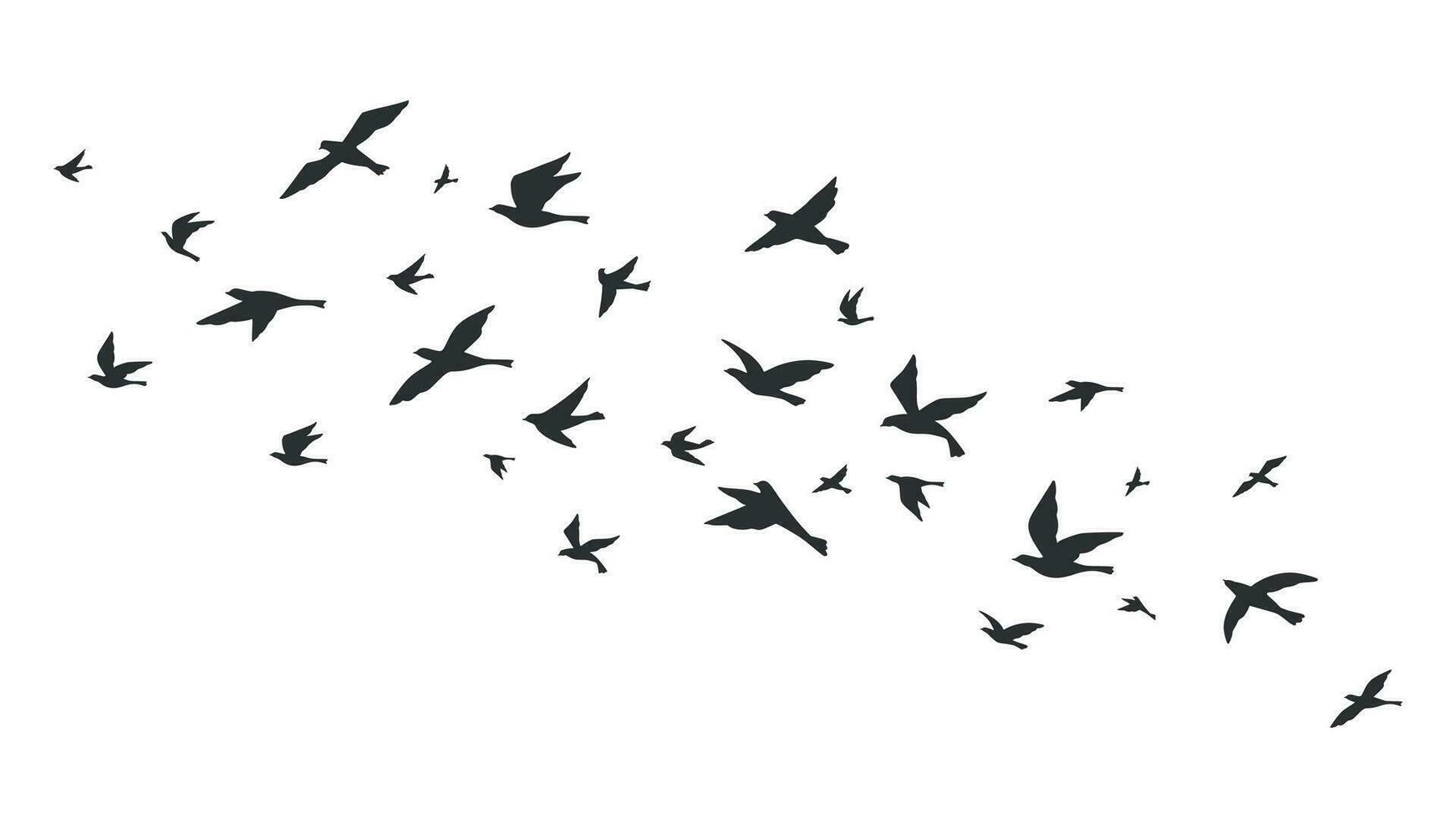 Flying bird. Free birds flock in flight black silhouettes. Tattoo image, freedom symbol wildlife vector illustration