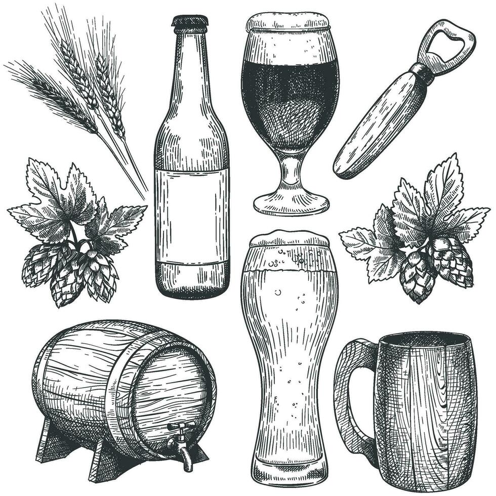 Hand drawn beer. Sketch beer glasses, mugs and barrel, bottle. Hops, malt and barley, objects for pub menu drinks engraving vector set