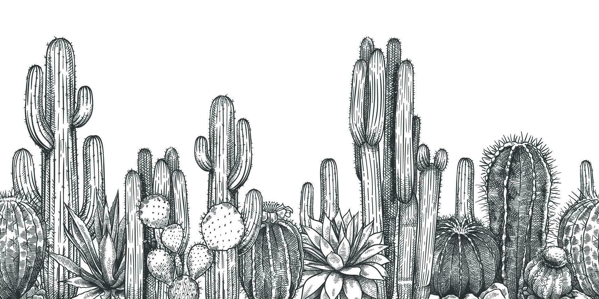 Hand drawn cactuses. Sketch succulent agave, saguaro and prickly pear. Desert plants, botanical horizontal seamless pattern engraving vector. vector