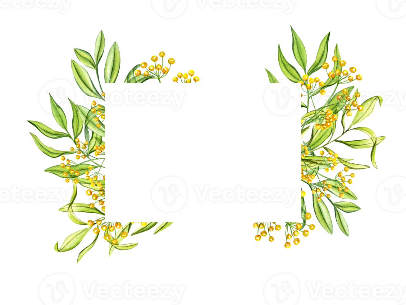 Horizontal frame with green leaves and yellow flowers. Wild spring herbs. Copy space for text. Watercolor illustration. For greeting, invitation png