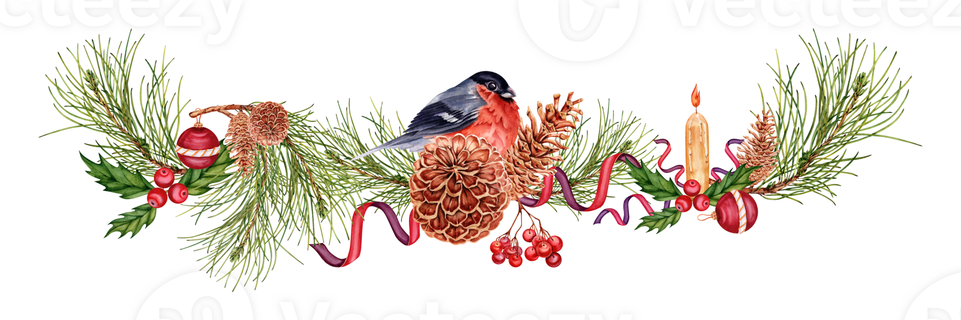 Festive season banner design with pine tree branches, bullfinch bird, pine cones, red rowan berries, holly, ribbons and christmas tree ball. Watercolor illustration isolated on transparent background png