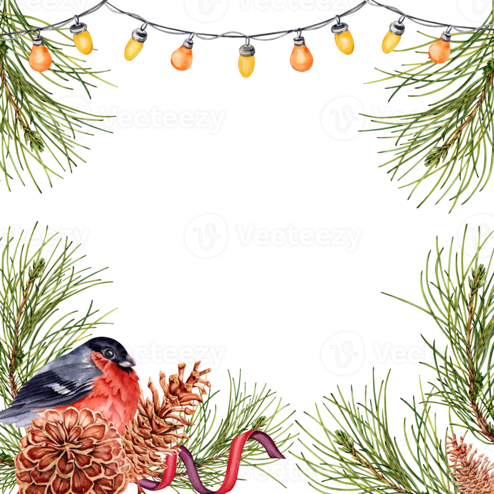 ljus jul sammansättning med tall träd grenar, lampor, domherre och kottar. fyrkant ram design redo för text. vattenfärg illustration isolerat på transparent bakgrund. kort gräns. png