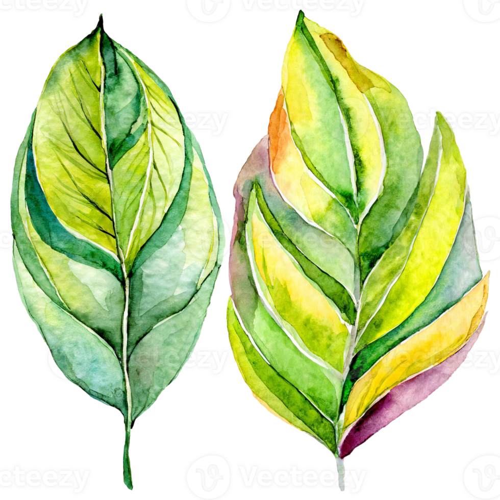 AI generated A watercolor painting of two green leaves isolated. Suitable for nature-themed designs, botanical illustrations, eco-friendly concepts, and organic product branding. png