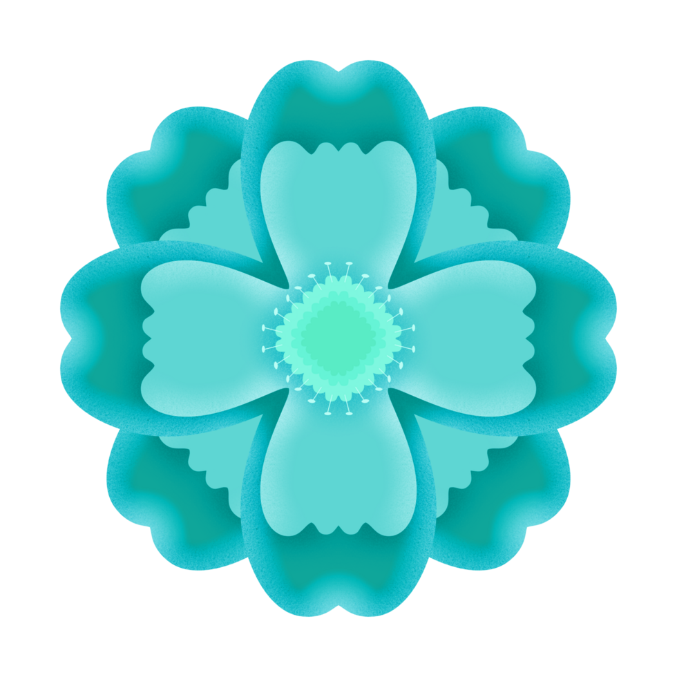 Spring Flower Illustration png