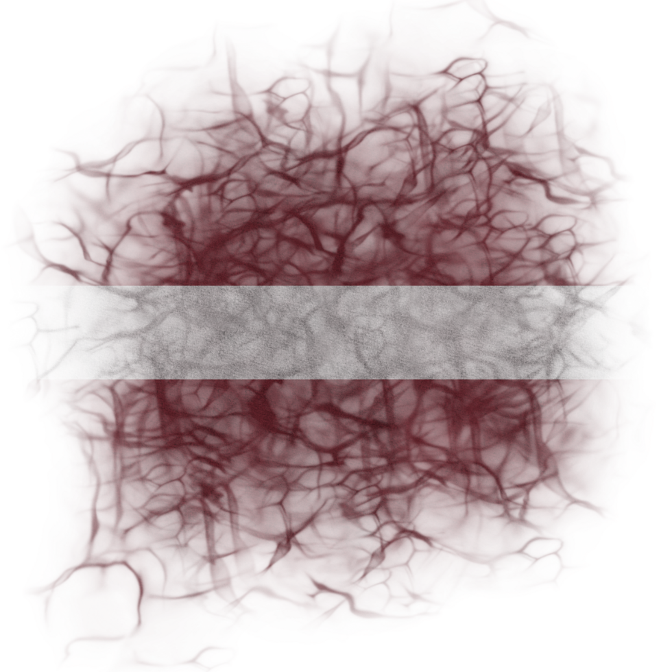 Latvia Brush Flag png