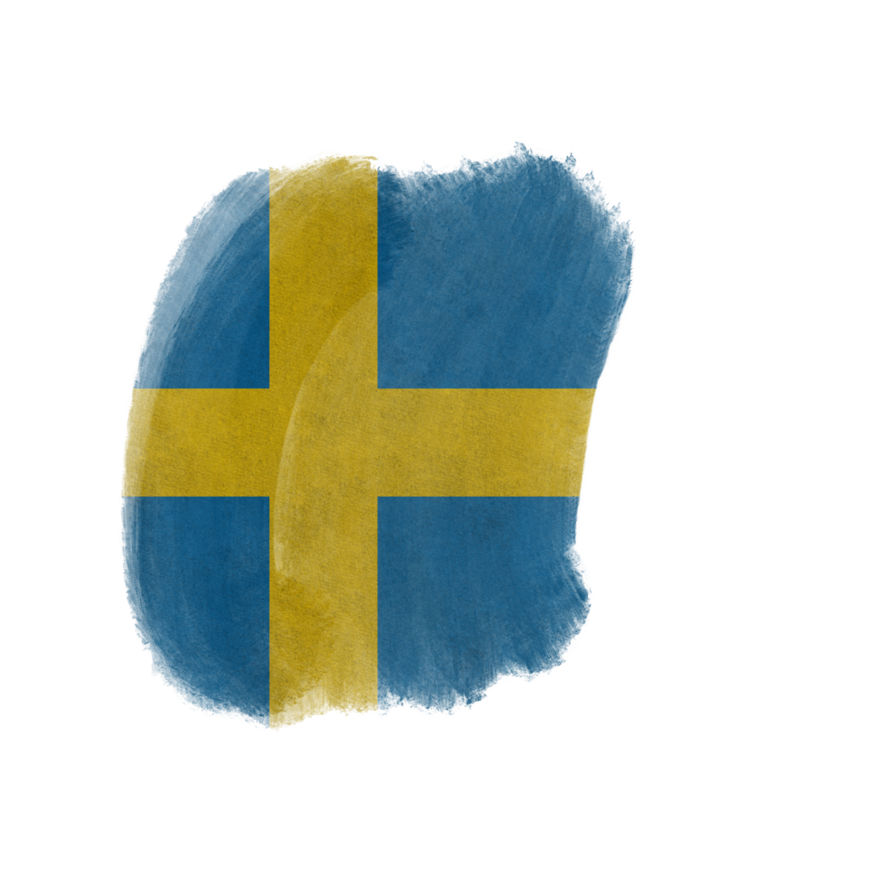 Sweden Brush Flag png