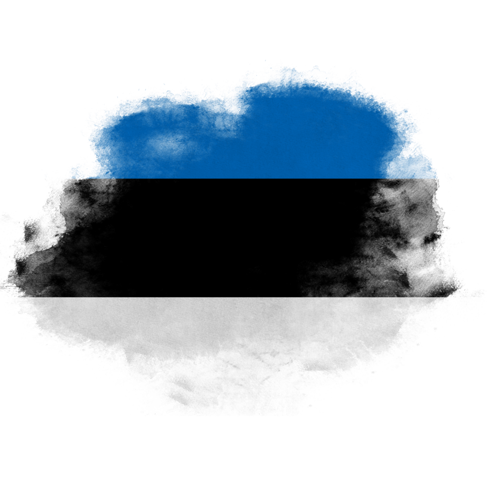 Estonia Brush Flag png