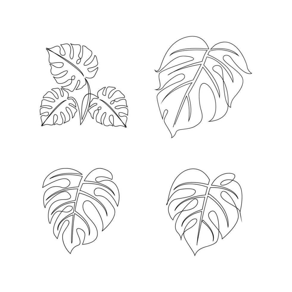 monstera continuo línea ilustración vector