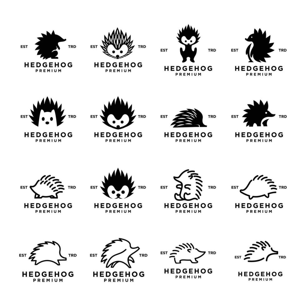 Hedgehog Logo icon design illustration vector